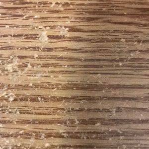 Meet your Posher, Trent